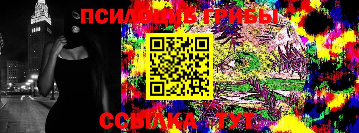 Псилоцибиновые грибы MAGIC MUSHROOMS  Вход с VPN  Магнитогорск  Галлюциногенные грибы прущие грибы 