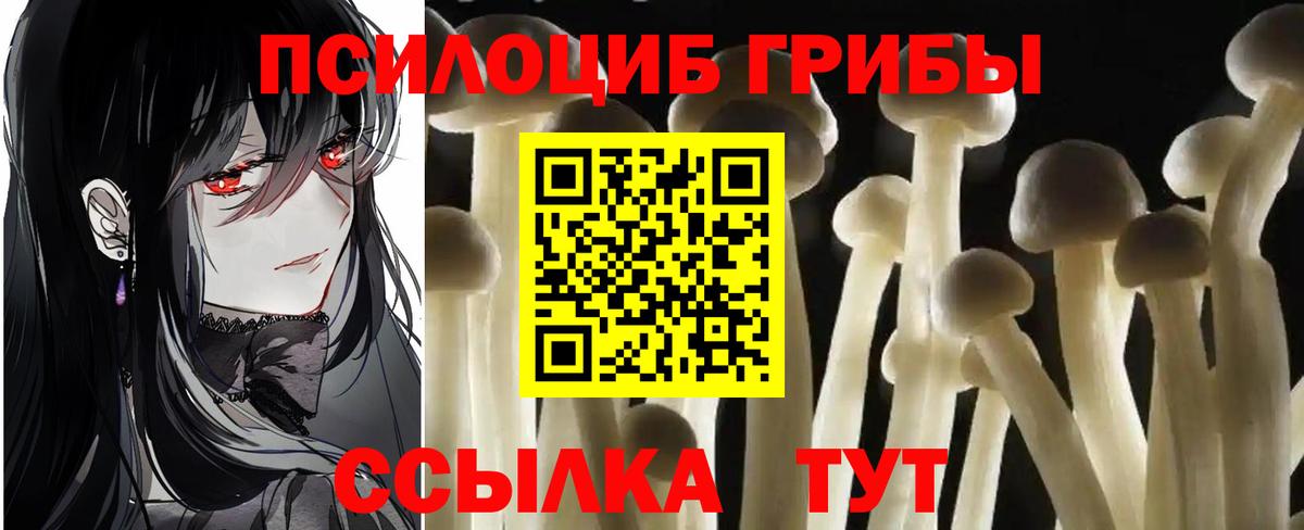 Псилоцибиновые грибы Cubensis Магнитогорск
